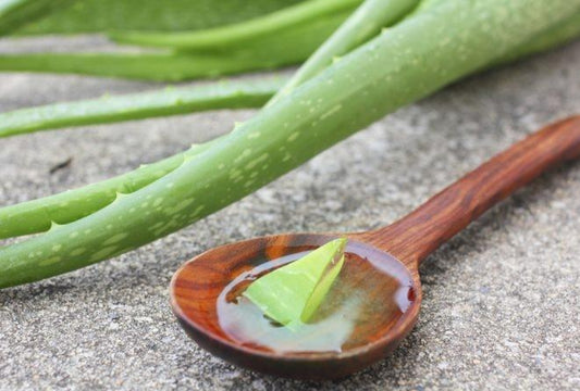How Aloe Vera Can Help You Treat Acne, Eczema And Other Skin Problems