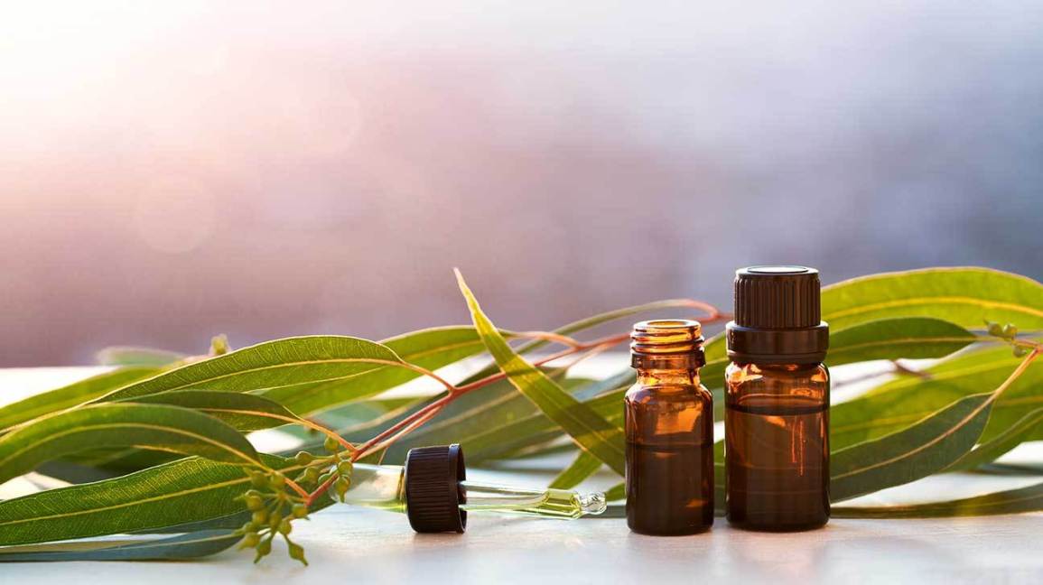 Pure Eucalyptus Essential Oil